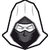 Altair