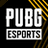 PUBG_BATTLEGROUNDS