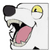 notsophatmatt