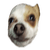 BrooberGaming