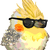 TheobaldTheBird