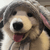 Nexe_
