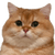 CatFishXP